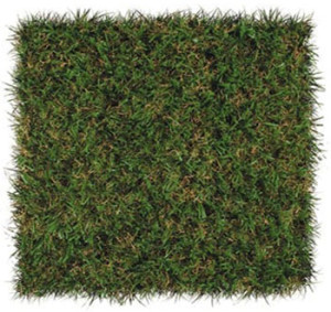 Patch ForeverLawn LandScapes Select EL