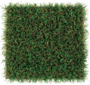 Patch ForeverLawn LandScapes Select HD